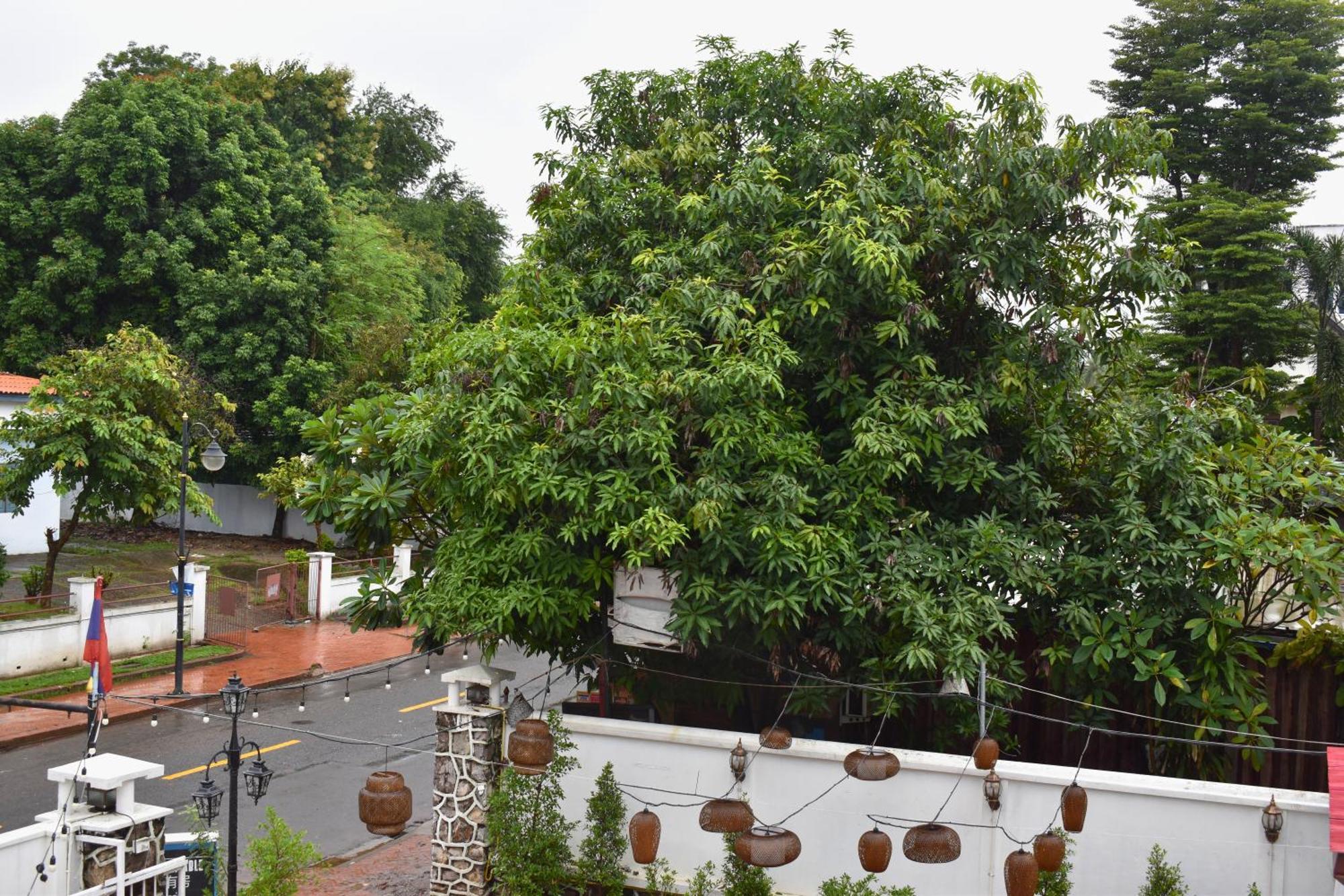 Monsane Villa Luang Prabang Exteriör bild